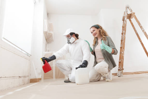 Trusted San Felipe, TX Mold Removal Experts